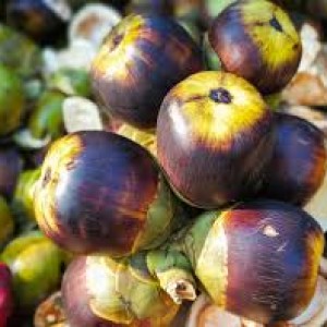 Create Ecommerce store In Simple 4 Steps