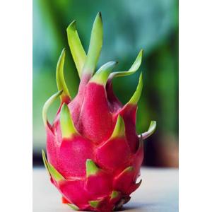 Create Ecommerce store In Simple 4 Steps